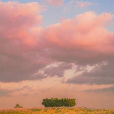 KOKapp下载手机版