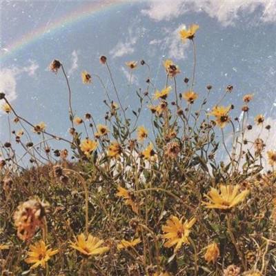 半岛·体育截图