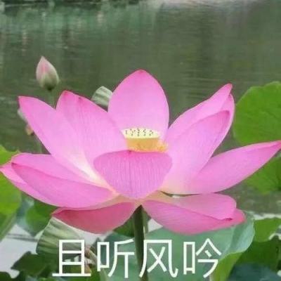 Bsport体育在线登录入口